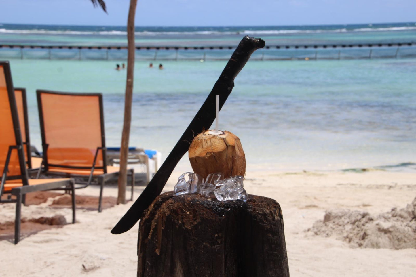 The Buccaneer’s Brew — Unlimited drinks, beach vibes, and pirate tales — the ultimate open bar experience.